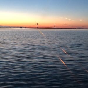 Meet your Posher, Maxx